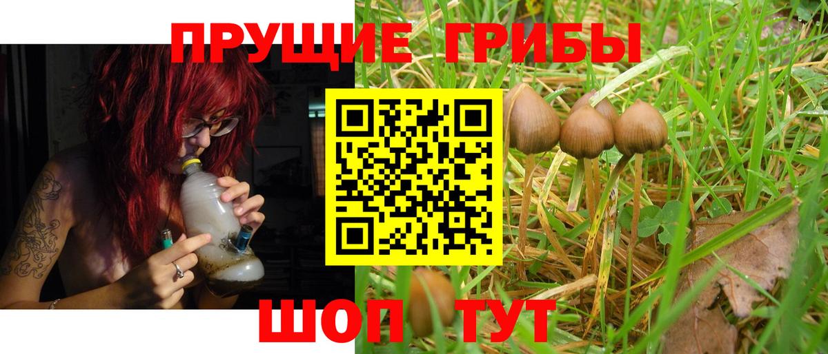 Нижний Новгород  Галлюциногенные грибы Magic Shrooms  Галлюциногенные грибы прущие грибы  Вход с VPN 